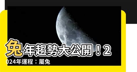 2024兔寶寶|2024兔年運勢如何？專家解析